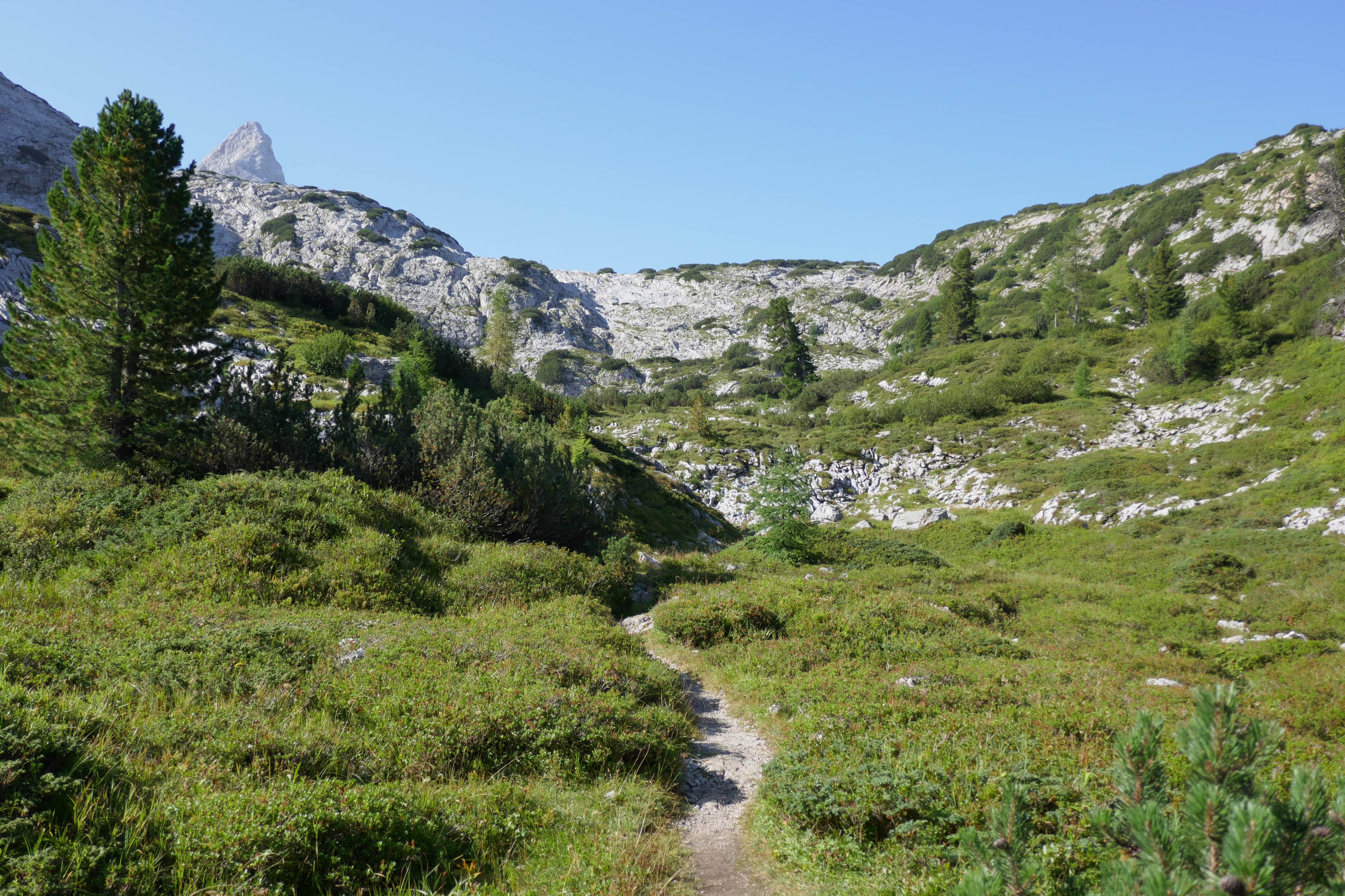 Steinernes Meer und Schönfeldspitze voraus
